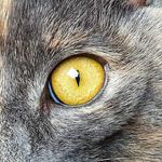 Jennifer Picker - @jennifer_picker - Instagram