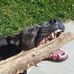 Jennifer Pilon - Facebook