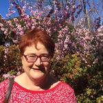 Jennifer Pilon - @luce_n_socks - Instagram