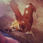 jenniferplaten@yahoo.de - @jenniferplatenyahoo.de - Instagram