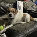 Jennifer Plett - Facebook