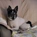Jennifer Jenkins Primm - Facebook