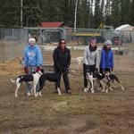 Carl & Jennifer Probert-Erhart - @prodogracing - Instagram