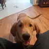 jenniferpuetz8 - @jenniferpuetz8 - TikTok