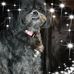 Jennifer Rafuse - Facebook
