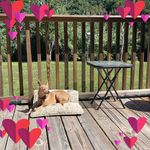 Jennifer D Adams Raley - @adamsraley - Instagram