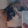 Jennifer Rasch - @jenniferrasch3 - TikTok