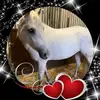 jenniferrasch236 - @jenniferrasch236 - TikTok