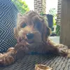 jenniferreader866 - @jenniferreader866 - TikTok