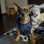 Jennifer reasoner - @reasonablejenn - Instagram