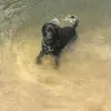 Jennifer Recker - @jennifer.recker - TikTok