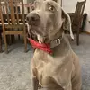 jenniferrettig381 - @jenniferrettig381 - TikTok