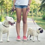 Jennifer Rickman - @jenns.dog.walks - Instagram