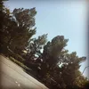 Jennifer ring - @jenniferring - TikTok