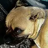 jenniferr - @jenniferrison7 - TikTok