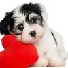 jenniferroach47gmail.com - @jenniferroach47gmail.com - TikTok