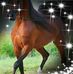 Jennifer Rodda - Facebook