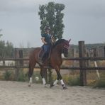 Jennifer Roux coaching Dressage - Facebook