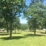 Jennifer Schaper - @schaper.properties - Instagram