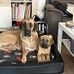 Jennifer Scheffler - Facebook