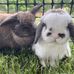 Jennifer Scheffler - Facebook