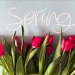 jenniferschillingerscentsy - @jenniferschillingerscentsy - Instagram