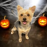 Jennifer Setters - @gordon_2020_gordon - Instagram