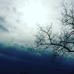 Jennifer Severance Stoddard - @jstodd4 - Instagram