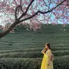 Chén nì đây nè - @shengjennifer - TikTok