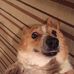 Jenny Sheng - Facebook