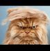 Jennifer Sieck - Facebook