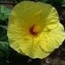 Jennifer Silletti - Facebook