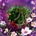 Jennifer Sinibaldi - Facebook