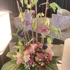 JenniferFields - @jenniferfieldsyzsucnr - TikTok