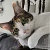 jennifersled - @jennifersled - TikTok