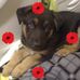 Jenny Stackhouse - Facebook