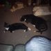 Jennifer Steller - Facebook