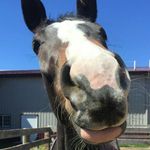 Jennifer Strasser - @jennifer.strasser.5 - Instagram