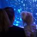 Jennifer Strasser - Facebook