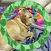 Jenni Strauch - Facebook