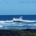 Jennifer Strauch - @georgethetrainer13 - Instagram