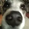 jenniferstrauch15 - @jenniferstrauch15 - TikTok
