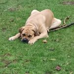 Jennifer Strecker Miller - @cloutt6 - Instagram