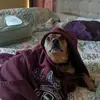 Jennifer Testa - @jennifertesta8 - TikTok