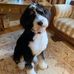 Jennifer Pike Theodore - Facebook