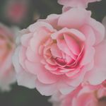 Jennifer Thies - @innobnn - Instagram