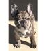 Jennifer Torrez - Facebook