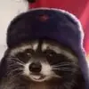 Comrade Raccoon - @jennifer.tulls - TikTok