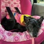 Jennifer Tull-Binder - @mommyb43 - Instagram