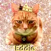 Jennifer Tull - @ed_the_cat_ed - TikTok
